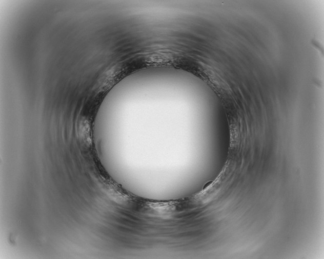 X0000093370187200710251202