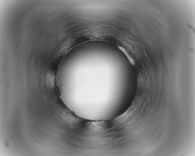 X0000093370188200710251202