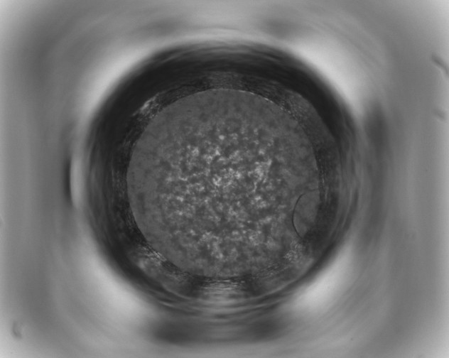 X0000093370189200710251202