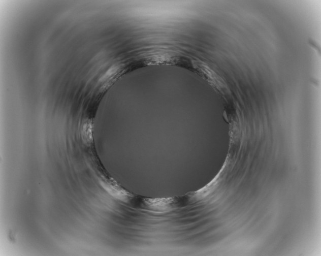 X0000093370191200710251202