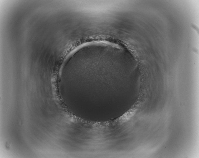 X0000093370192200710251202