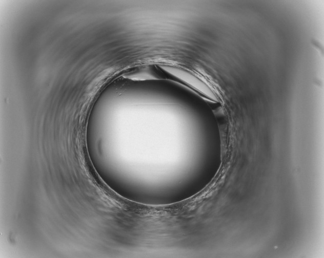 X0000093370193200710251201