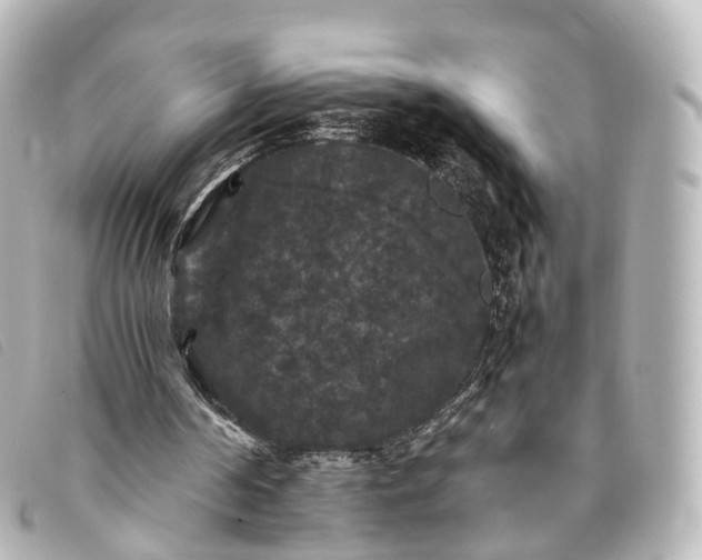 X0000093370194200710251201