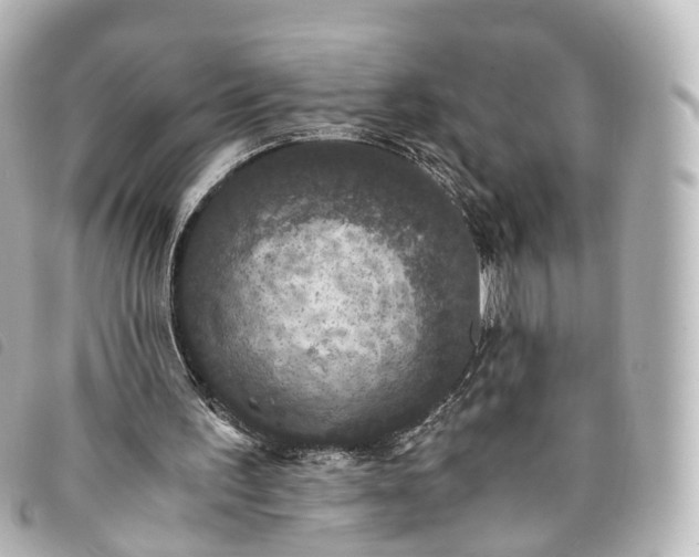 X0000093370195200710251201