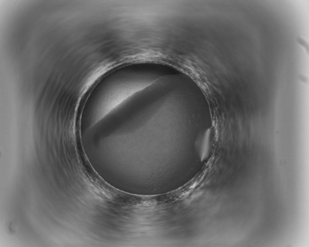 X0000093370196200710251201