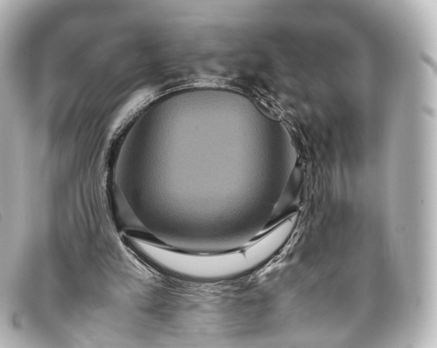 X0000093370197200710251201