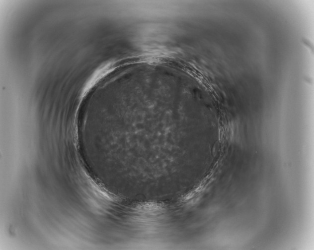 X0000093370198200710251201