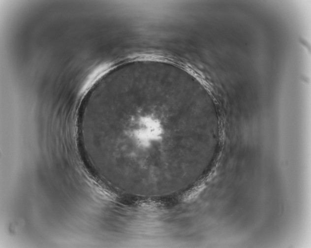 X0000093370199200710251201