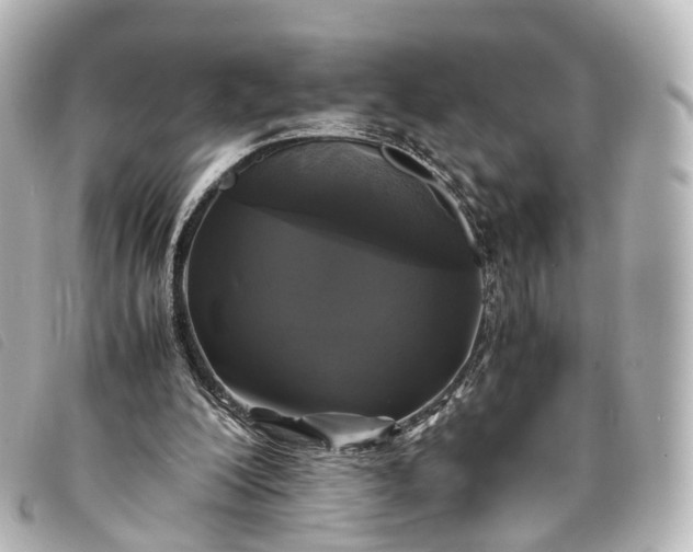 X0000093370200200710251201