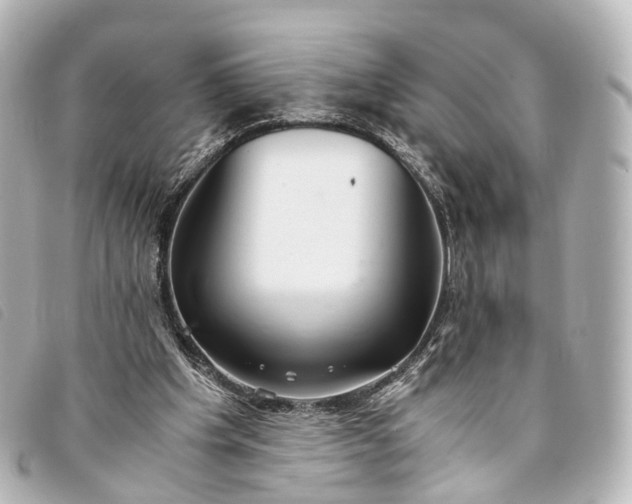 X0000093370201200710251201