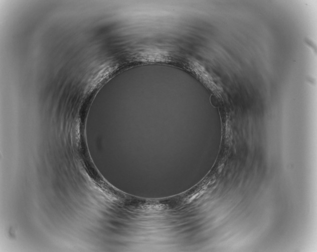 X0000093370202200710251201