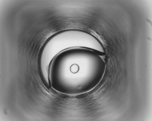 X0000093370203200710251201