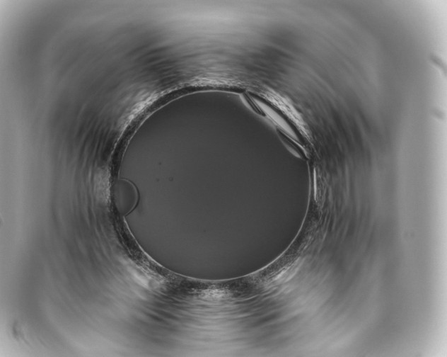 X0000093370204200710251201