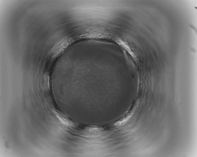 X0000093370205200710251201