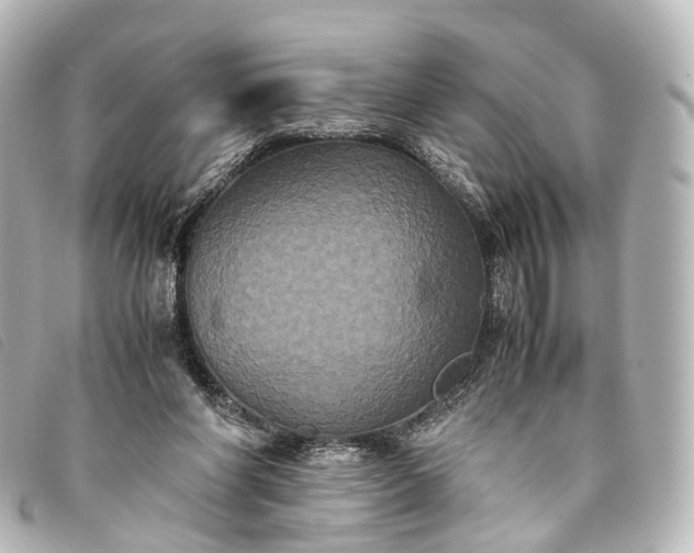 X0000093370206200710251201