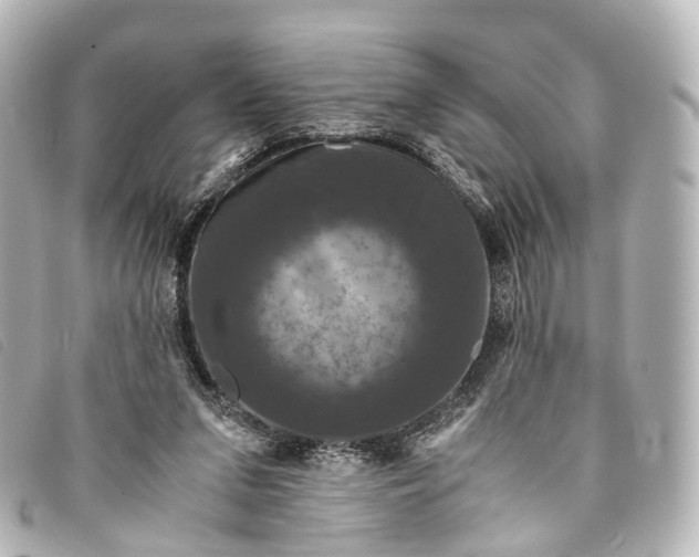 X0000093370207200710251201