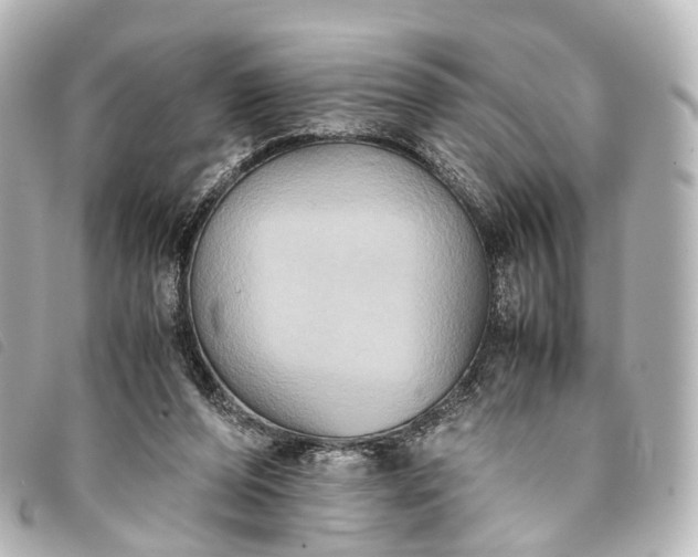 X0000093370208200710251201