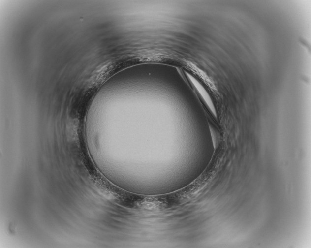 X0000093370209200710251201