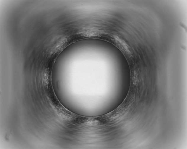 X0000093370210200710251201