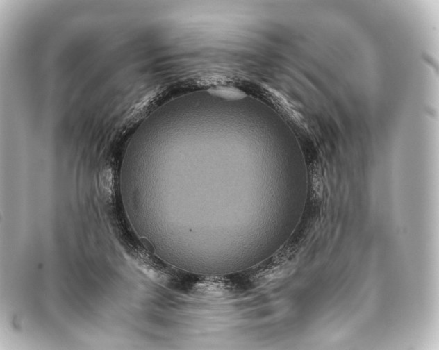 X0000093370211200710251201