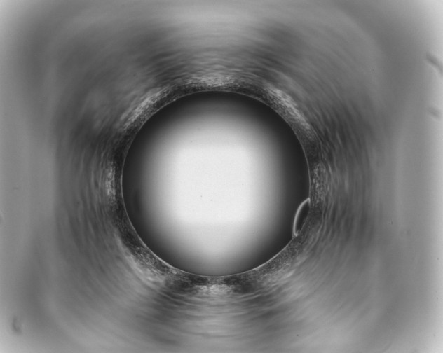 X0000093370212200710251201