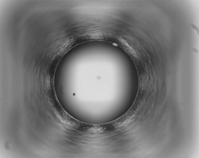 X0000093370213200710251201