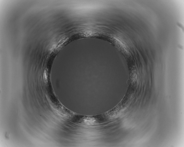 X0000093370214200710251201