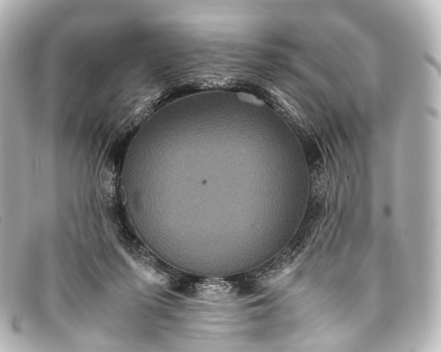 X0000093370215200710251201