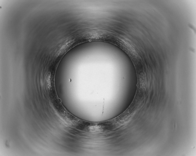 X0000093370216200710251201