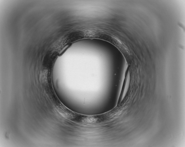 X0000093370217200710251201