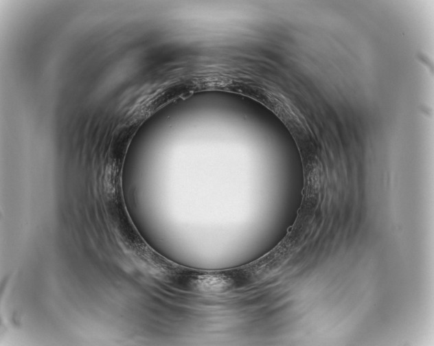 X0000093370218200710251201