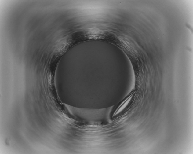 X0000093370219200710251201