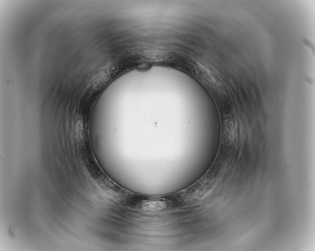 X0000093370220200710251201