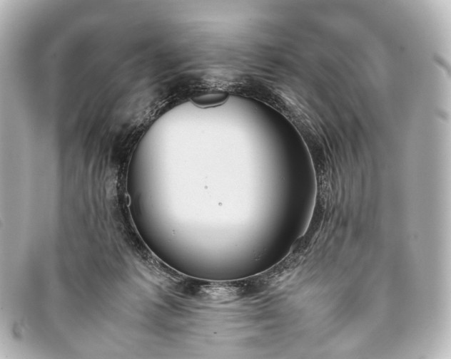 X0000093370221200710251201