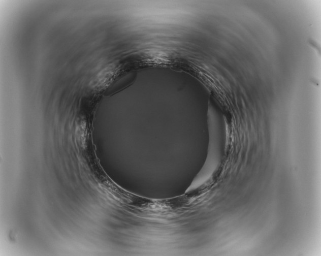 X0000093370223200710251201