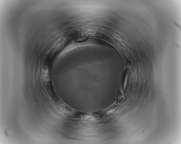 X0000093370224200710251201