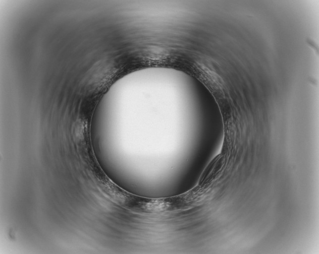 X0000093370225200710251201