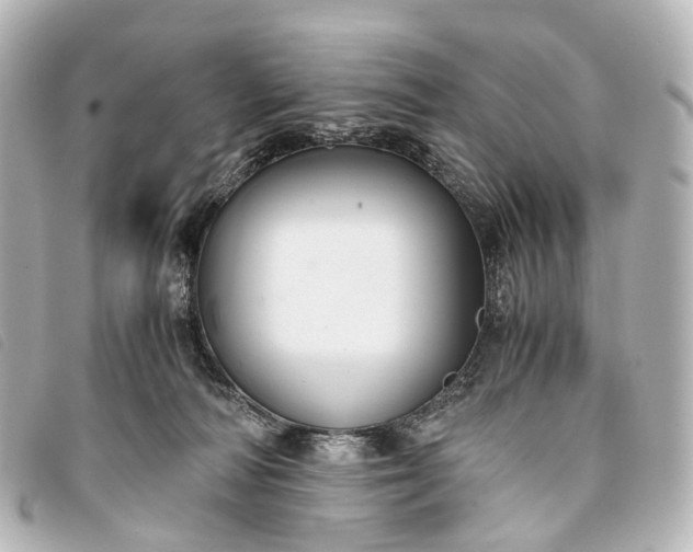 X0000093370226200710251201