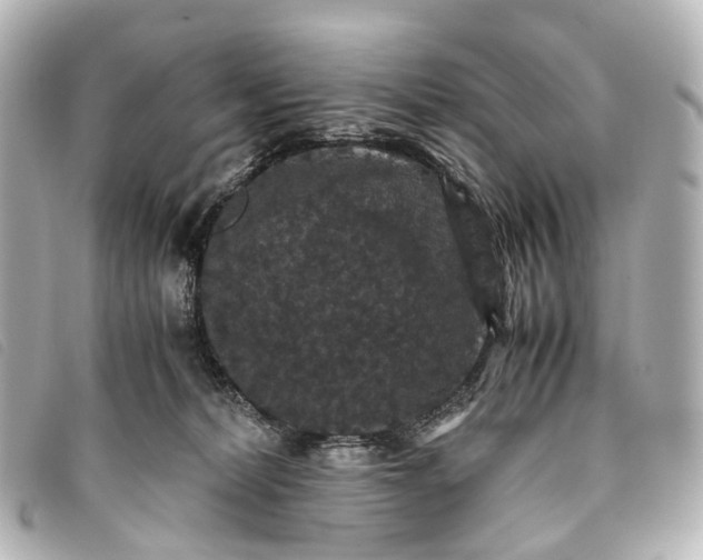 X0000093370228200710251201