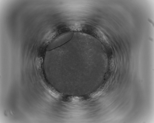 X0000093370229200710251201