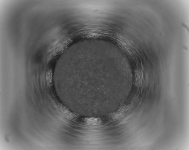 X0000093370230200710251201