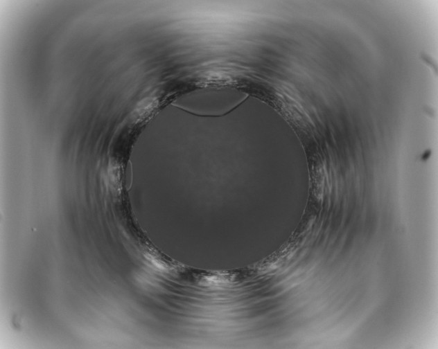 X0000093370232200710251201