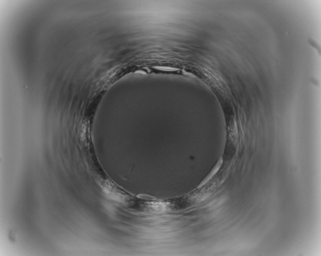 X0000093370233200710251201