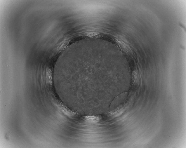 X0000093370234200710251201