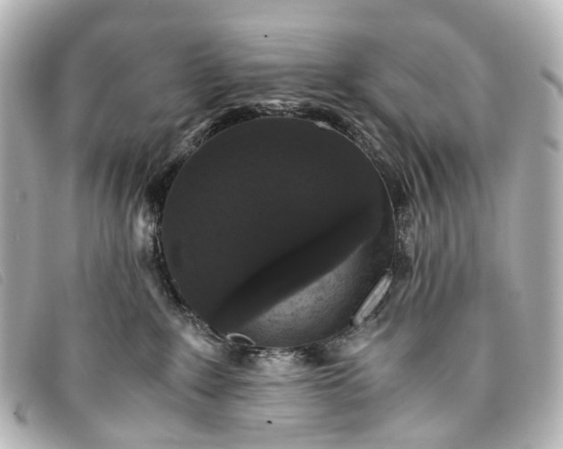 X0000093370235200710251201