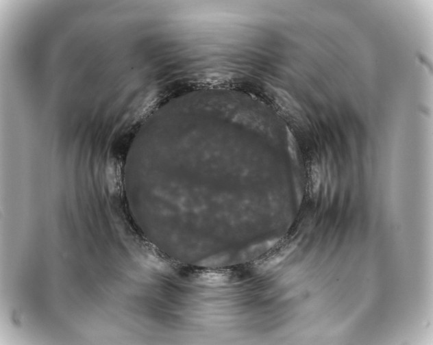 X0000093370236200710251201