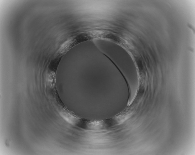 X0000093370237200710251201