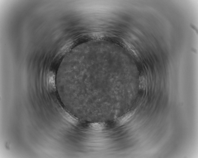 X0000093370238200710251201