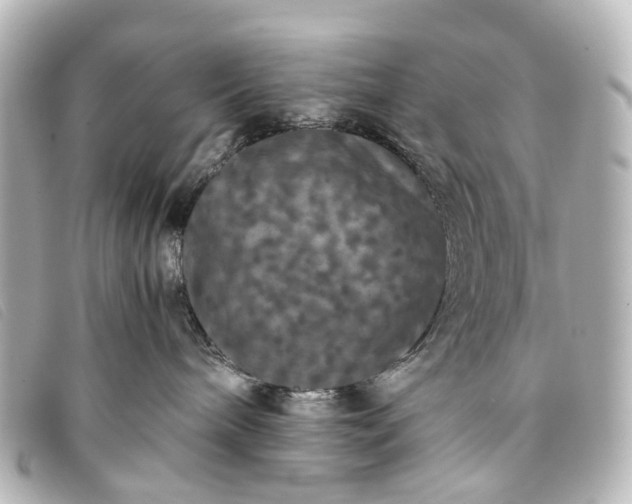 X0000093370240200710251201