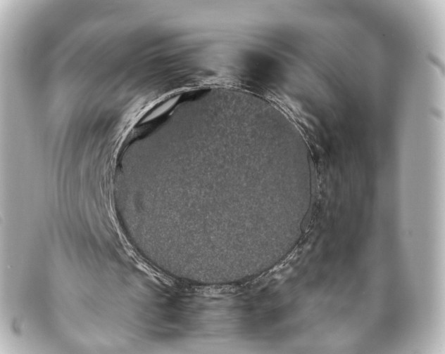 X0000093370241200710251200